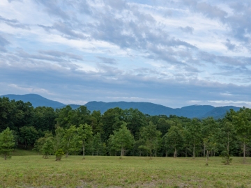 Farm-at-Cane-Creek-August-2021-26