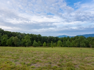 Farm-at-Cane-Creek-August-2021-28