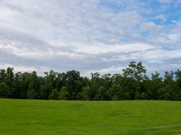 Farm-at-Cane-Creek-August-2021-33