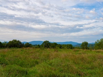 Farm-at-Cane-Creek-August-2021-37