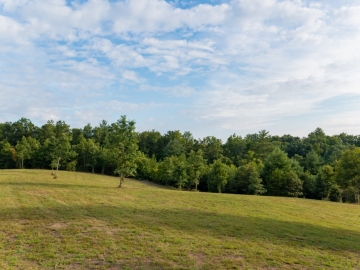 Farm-at-Cane-Creek-August-2021-39