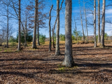 The-Farm-at-Cane-Creek-Fletcher-NC-16
