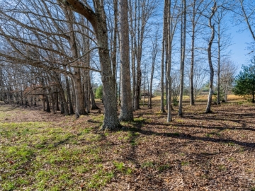 The-Farm-at-Cane-Creek-Fletcher-NC-21