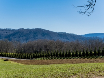 The-Farm-at-Cane-Creek-Fletcher-NC-35
