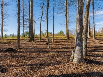 The-Farm-at-Cane-Creek-Fletcher-NC-4