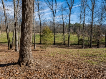The-Farm-at-Cane-Creek-Fletcher-NC-7