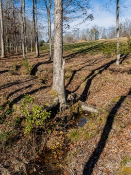 The-Farm-at-Cane-Creek-Fletcher-NC-72