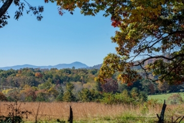 DSC_7051