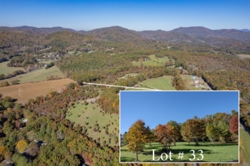 lot-33.2