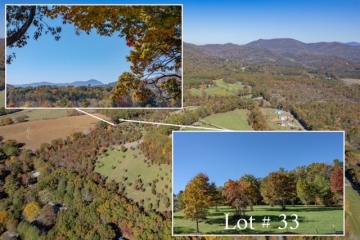 lot-33.3