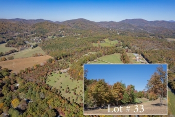 lot-33