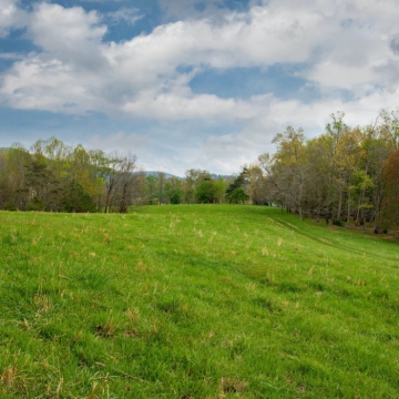 full-The-Farm-at-Cane-Creek-print-028