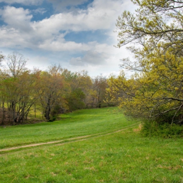 full-The-Farm-at-Cane-Creek-print-029