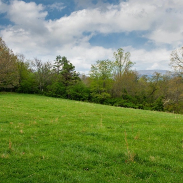full-The-Farm-at-Cane-Creek-print-030