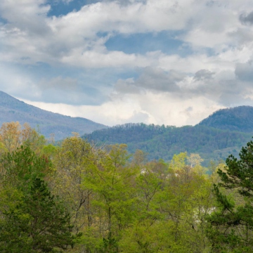 full-The-Farm-at-Cane-Creek-print-035