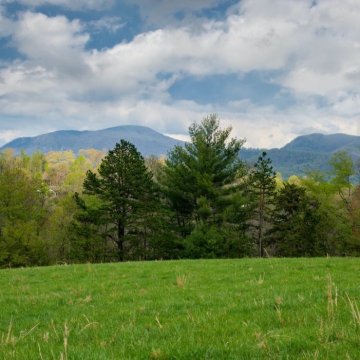 full-The-Farm-at-Cane-Creek-print-037