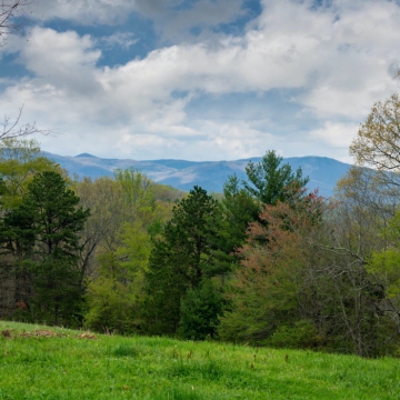 full-The-Farm-at-Cane-Creek-print-038