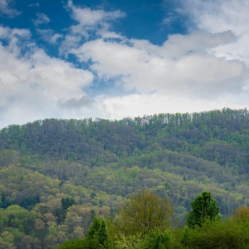 full-The-Farm-at-Cane-Creek-print-041
