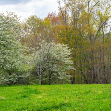 full-The-Farm-at-Cane-Creek-print-042