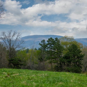 full-The-Farm-at-Cane-Creek-print-043