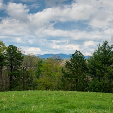 full-The-Farm-at-Cane-Creek-print-044