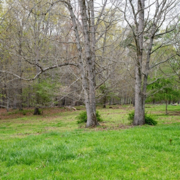 full-The-Farm-at-Cane-Creek-print-046