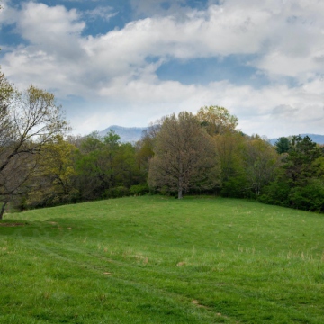 full-The-Farm-at-Cane-Creek-print-047
