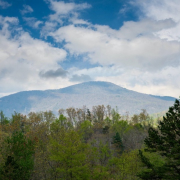 full-The-Farm-at-Cane-Creek-print-048