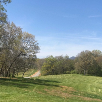 full-Lot-11-in-the-distance-scaled