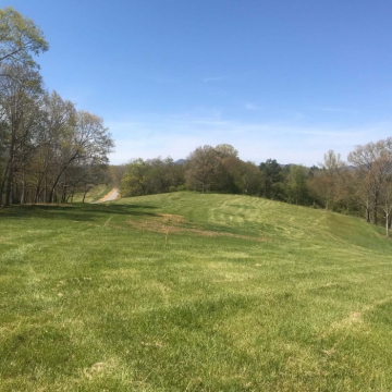 full-Lot-11-past-the-stake-with-trees-on-right-edge-scaled