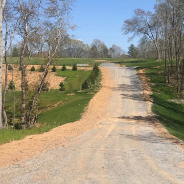 full-Lot-11-straight-ahead-scaled